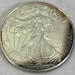 2014 Toned American Silver Eagle .999 Fine Silver 1oz.