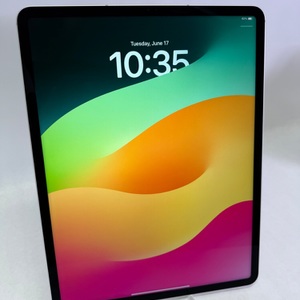 Apple iPad Pro 12.9" 6th Generation 1TB Wi-Fi+Cellular Silver MP653LL/A-A2764