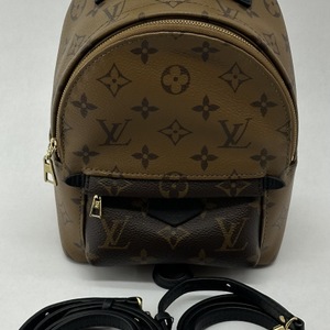 Louis Vuitton Palm Springs Mini Backpack