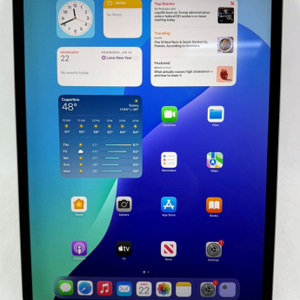 Apple iPad Pro 12.9" 3rd Gen 256GB Wi-Fi Tablet A1876-MTFL2LL/A