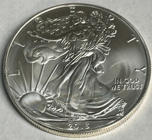 2013 American Silver Eagle 1oz .999 Fine Silver