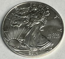 American Silver Eagle 1oz .999 Fine Silver 