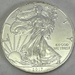 2017 American Silver Eagle .999 Fine Silver 1oz.