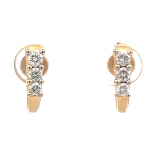 14K Yellow Gold 6-Diamond 1/2CTW Earrings