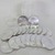 Golden State Mint 20ct 1oz Buffalo Rounds