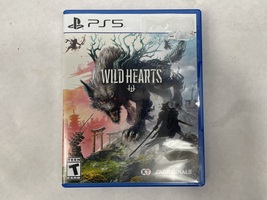 Sony Wild Hearts - PS5 Game