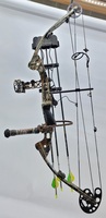 Parker Spitfire Custom Compound Bow