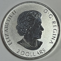 Canada 2021 3/4oz .999 Fine Silver Owl Coin