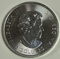 2019 Canada Elizabeth II 1/2oz .9999 Fine Silver Bear