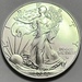 2024 American Silver Eagle .999 Fine Silver