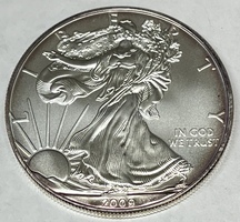 2009 American Silver Eagle 1oz .999 Fine Silver
