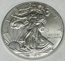 2014 American Silver Eagle 1oz .999 Fine Silver