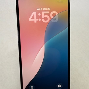 Apple iPhone 12 Pro Max 256GB Unlocked Pacific Blue