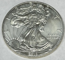 2013 American Silver Eagle 1oz .999 Fine Silver