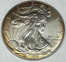 2016 American Silver Eagle 1oz .999 Fine Silver