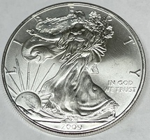 2009 American Silver Eagle 1oz .999 Fine Silver
