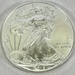 2015 American Silver Eagle 1oz .999 Fine Silver