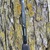 Shimano Tallus Trolling Ring Guide Fishing Rod (TLC66MHSBBLA)