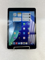 Apple iPad 10.2 in. 9th Gen Space Gray 64GB Wi-Fi 