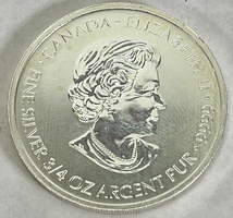 2013 Elizabeth II 3/4oz .9999 Fine Silver Coin