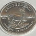 2021 Krugerrand 1oz .999 Fine Silver Coin