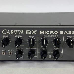Carvin BX250 Micro Bass Amp Head