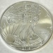 2016 American Silver Eagle .999 1oz Fine Silver