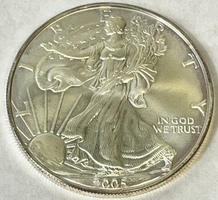 2005 American Silver Eagle 1oz .999 Fine Silver