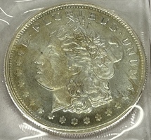 1oz .999 Fine Silver Round Morgan Theme
