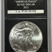 2013 American Silver Eagle 1oz .999 Fine Silver